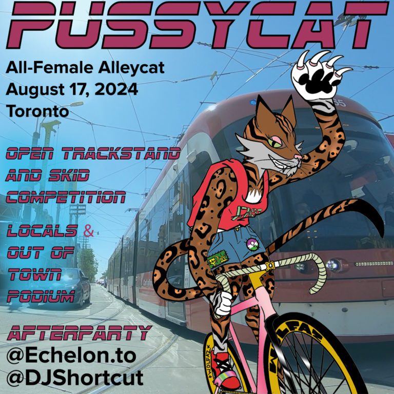What is This Pussycat Race All About?